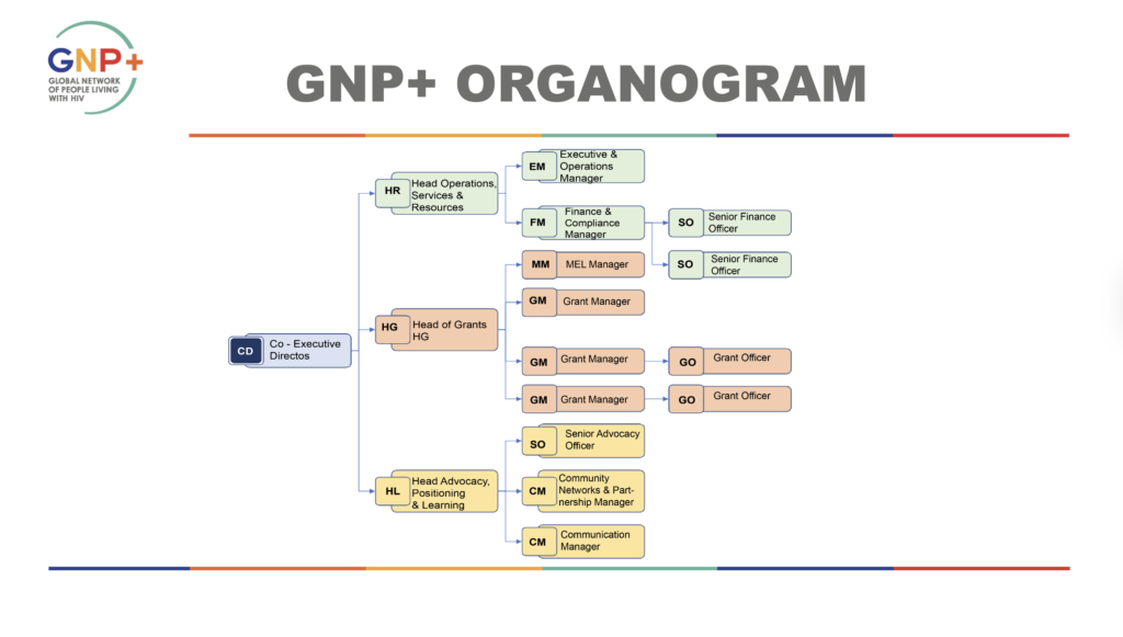 GNP+ Organogram